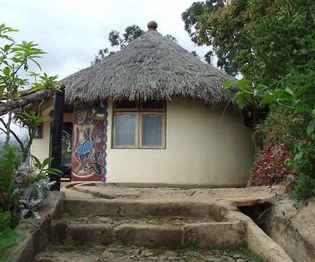 Mount Kilimanjaro View Lodge 모시 외부 사진