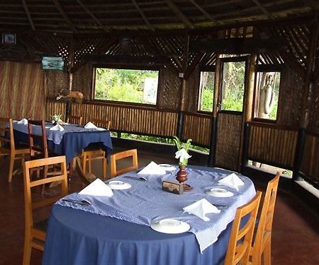 Mount Kilimanjaro View Lodge 모시 외부 사진