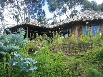 Mount Kilimanjaro View Lodge 모시 외부 사진