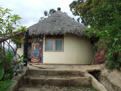Mount Kilimanjaro View Lodge 모시 외부 사진