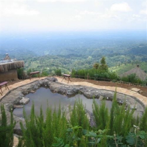 Mount Kilimanjaro View Lodge 모시 외부 사진