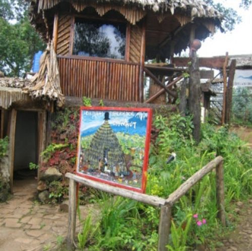 Mount Kilimanjaro View Lodge 모시 외부 사진