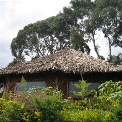 Mount Kilimanjaro View Lodge 모시 외부 사진