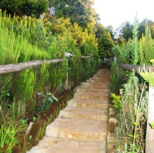 Mount Kilimanjaro View Lodge 모시 외부 사진