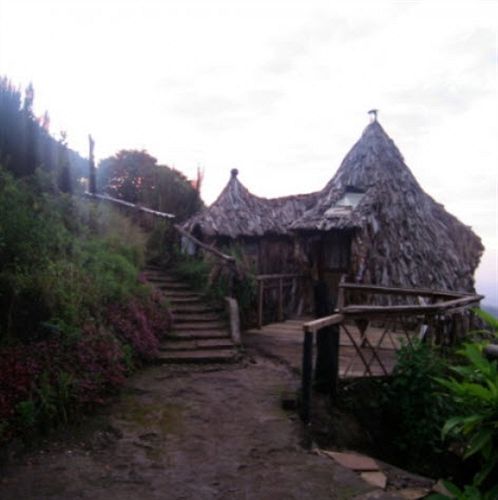 Mount Kilimanjaro View Lodge 모시 외부 사진